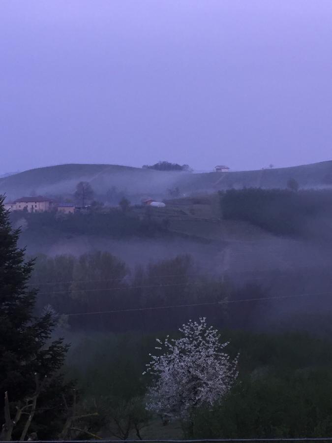 Bed and Breakfast Cascina Baresane Alba  Zewnętrze zdjęcie