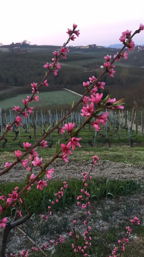 Bed and Breakfast Cascina Baresane Alba  Zewnętrze zdjęcie