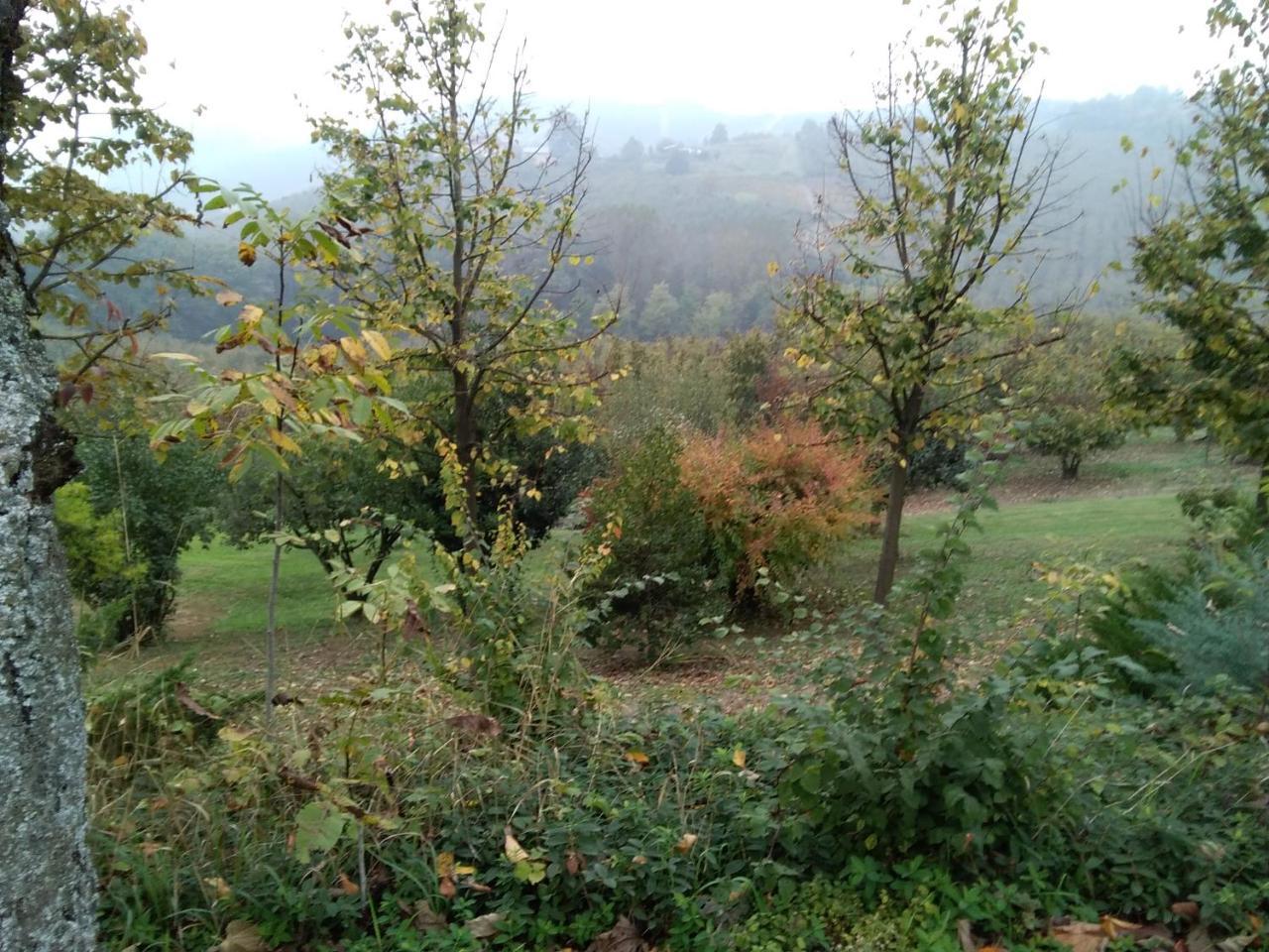 Bed and Breakfast Cascina Baresane Alba  Zewnętrze zdjęcie